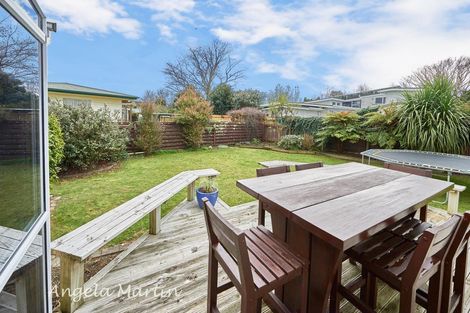Photo of property in 19 Newcastle Street, Hokowhitu, Palmerston North, 4410
