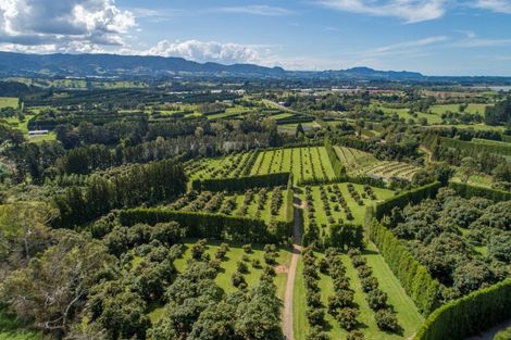 Photo of property in 44 Walker Road West, Aongatete, Katikati, 3178