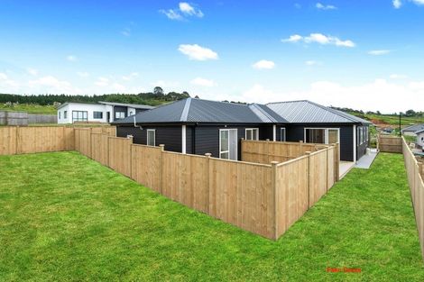 Photo of property in 17 Minerva Avenue, Helensville, 0800