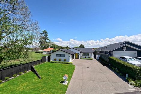 Photo of property in 91 Carmichael Road, Bethlehem, Tauranga, 3110