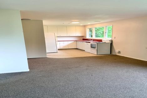 Photo of property in 36 Norway Street, Aro Valley, Wellington, 6012