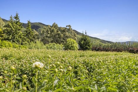 Photo of property in 42d Gladsmuir Road, Queensberry, Cromwell, 9383