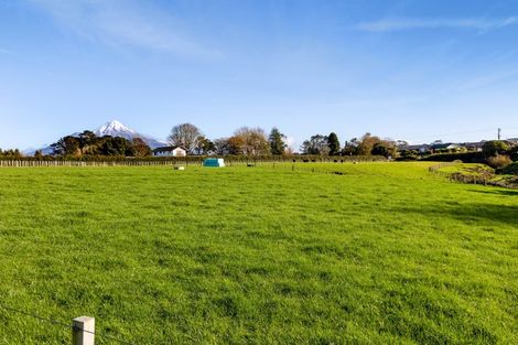 Photo of property in 159 Opunake Road, Stratford, 4391