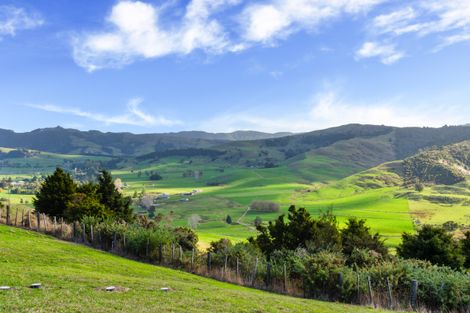 Photo of property in 1612a Pakiri Road, Tomarata, Wellsford, 0972