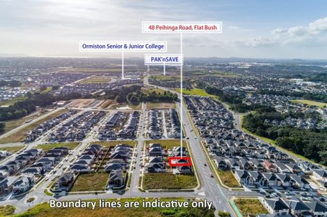 Photo of property in 48 Peihinga Road, Flat Bush, Auckland, 2019