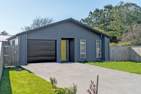 Photo of property in 54a Costley Street, Carterton, 5713