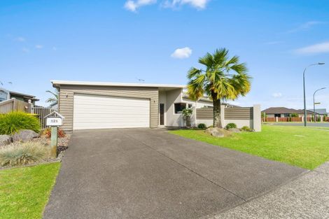 Photo of property in 125 Solomon Street, Brookfield, Tauranga, 3110