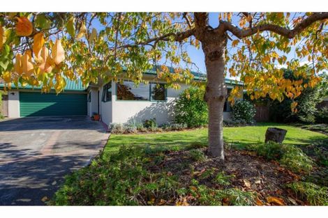 Photo of property in 26 Maple Crescent, Richmond, 7020