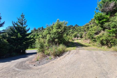 Photo of property in 1092 Driving Creek Road, Coromandel, 3583