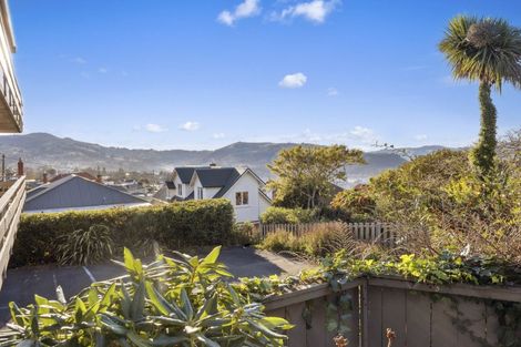 Photo of property in 19a Sheen Street, Roslyn, Dunedin, 9010