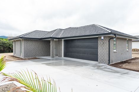 Photo of property in 20 Jack Boyd Drive, Mangawhai Heads, Mangawhai, 0573