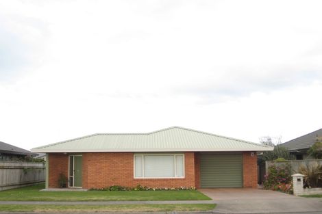 Photo of property in 111 Avondale Road, Greenmeadows, Napier, 4112