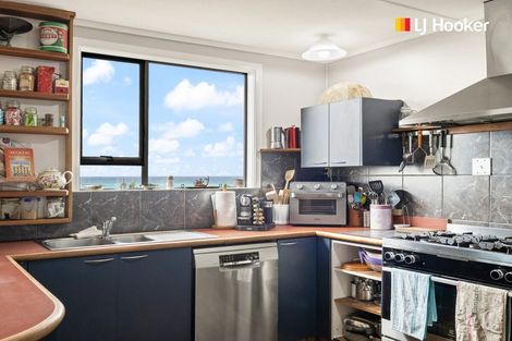 Photo of property in 156 Shag Point Road, Shag Point, Palmerston, 9482