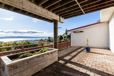 Photo of property in 21 Denholm Road, Hospital Hill, Napier, 4110