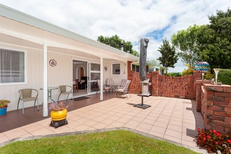 Photo of property in 113 Domain Road, Putaruru, 3482