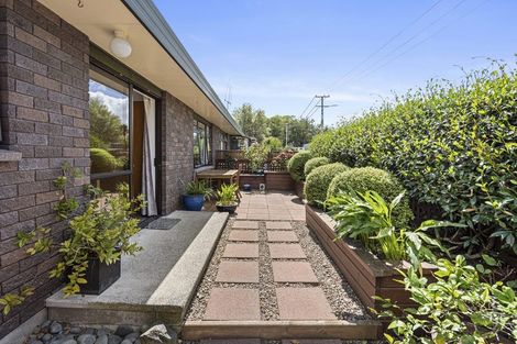 Photo of property in 6/24 Duke Street, Cambridge, 3434