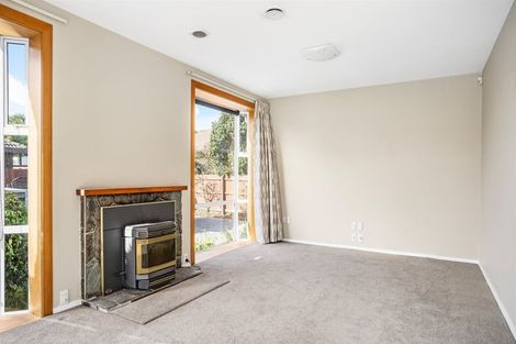 Photo of property in 117 Barrington Street, Somerfield, Christchurch, 8024