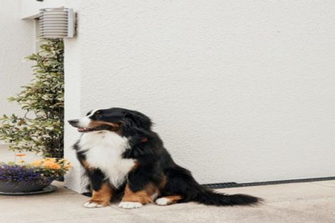 Photo of property in 2/71c Middleton Road, Upper Riccarton, Christchurch, 8041