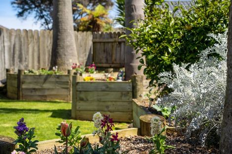 Photo of property in 16 O'sullivan Place, Waiuku, 2123