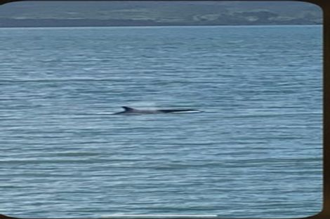 Photo of property in 29 Koutu Point Road, Opononi, Kaikohe, 0473