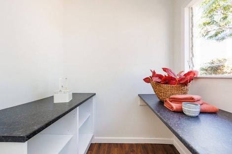 Photo of property in 45 Limbrick Street, Terrace End, Palmerston North, 4410