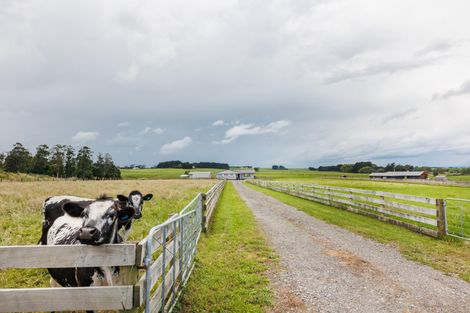 Photo of property in 218 Taipo Road, Rongotea, Palmerston North, 4476