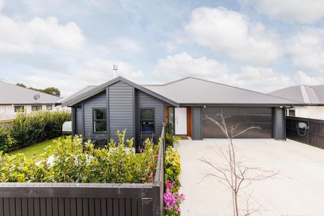 Photo of property in 29a Ward Street, Palmerston North, 4410