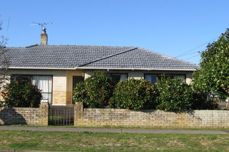Photo of property in 135 Old Wairoa Road, Papakura, 2110