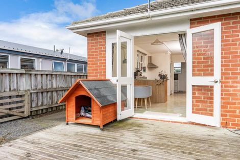 Photo of property in 61 Murray Street, Kew, Dunedin, 9012