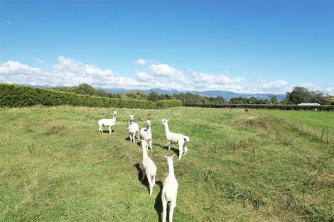 Photo of property in 3 Avenue North Road, Levin, 5510