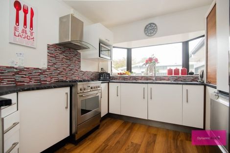 Photo of property in 48 Brightwater Terrace, Terrace End, Palmerston North, 4410