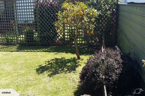 Photo of property in 3a Bradley Street, Paeroa, 3600