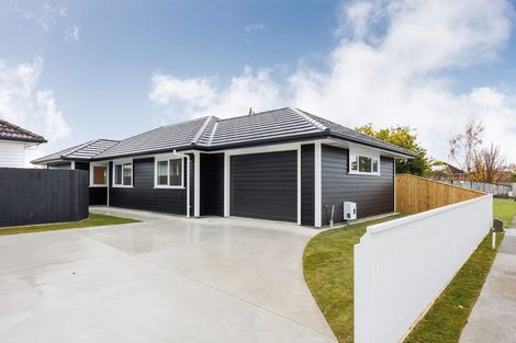 Photo of property in 1b London Terrace, Awapuni, Palmerston North, 4412