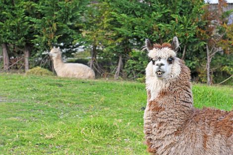 Photo of property in 9 Mountain Road, Kaiwaka, 0587