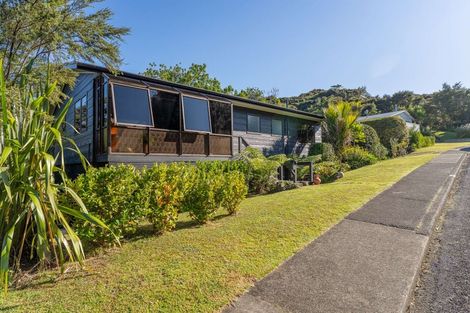 Photo of property in 23 Punga Place, Whitianga, 3510