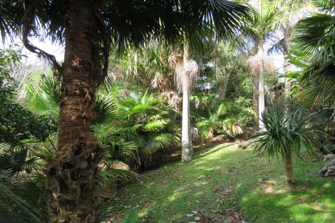 Photo of property in 44 Puriri Block Road, Kaingaroa, Kaitaia, 0482