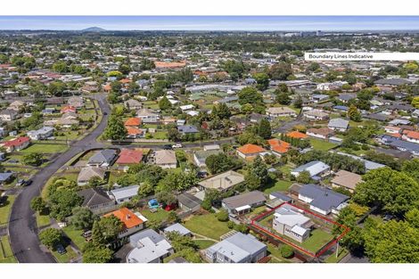 Photo of property in 16 Wilson Street, Hamilton East, Hamilton, 3216