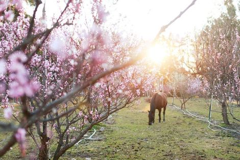 Photo of property in 65 Butterfield Road, Hawea Flat, 9382
