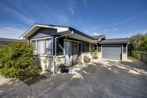 Photo of property in 48a Vigor Brown Street, Napier South, Napier, 4110