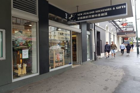 Photo of property in Bellagio Apartments, 39 Taranaki Street, Te Aro, Wellington, 6011