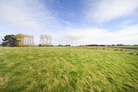 Photo of property in 197 Tutaki Road, Kelvin Grove, Palmerston North, 4470