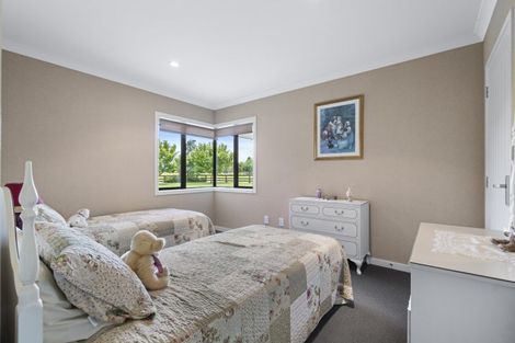 Photo of property in 580 Taonui Road, Colyton, Feilding, 4775