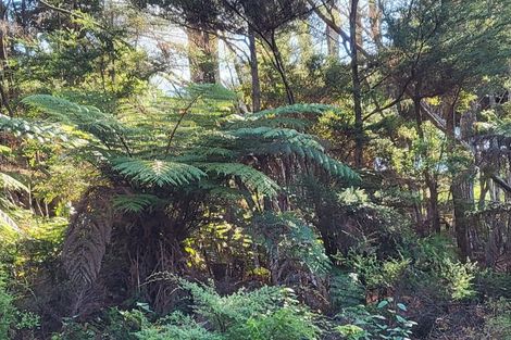 Photo of property in 10 Wilson Avenue, Kawau Island, 0920