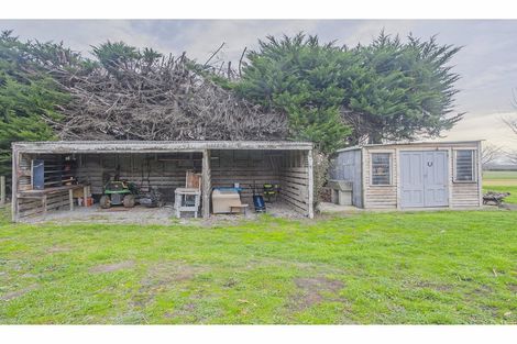 Photo of property in 396 Waipopo Road, Seadown, Timaru, 7973