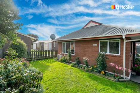 Photo of property in 176c Melbourne Street, South Dunedin, Dunedin, 9012