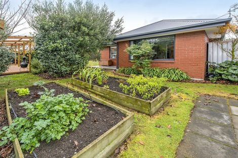 Photo of property in 29 George Street, Rolleston, 7614