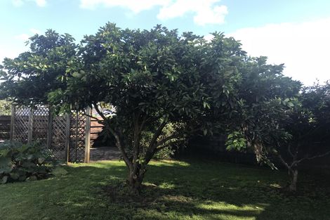 Photo of property in 115 Pukete Road, Pukete, Hamilton, 3200