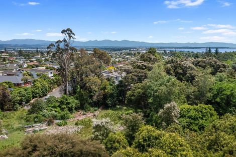 Photo of property in 51 Selbourne Avenue, Richmond, 7020