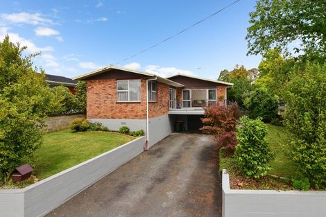 Photo of property in 12 Patrick Place, Fitzroy, Hamilton, 3206