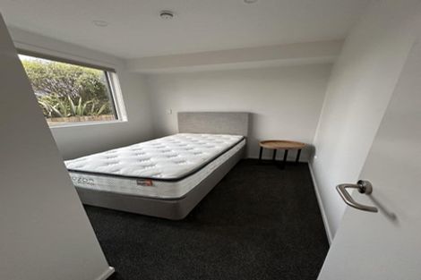 Photo of property in 30 Te Puketoka Lane, Mangere, Auckland, 2022